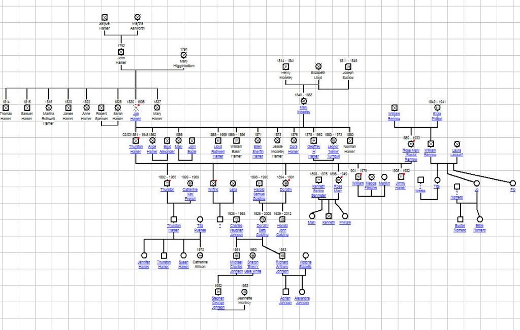 Family trees - Hamer history in Mexico